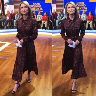 Amy Robach feet photo thumbnail