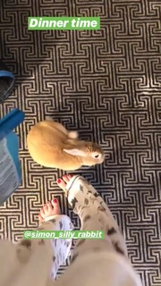 Kaley Cuoco feet photo thumbnail