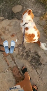 Anitta feet photo thumbnail