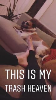 Grace Helbig feet photo thumbnail