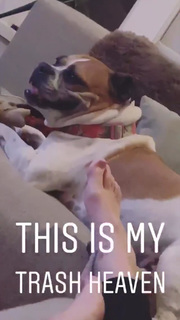 Grace Helbig feet photo thumbnail
