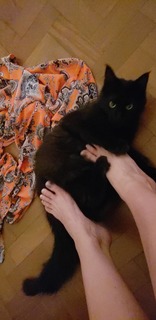 Lívia Andrade feet photo thumbnail