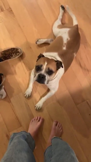 Grace Helbig feet photo thumbnail