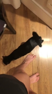 Kéfera Buchmann feet photo thumbnail