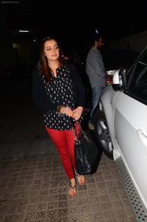 Dia Mirza feet photo thumbnail