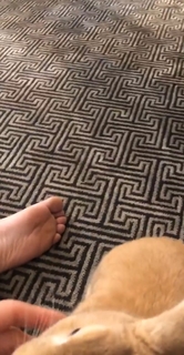 Kaley Cuoco feet photo thumbnail