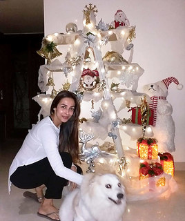 Malaika Arora feet photo thumbnail