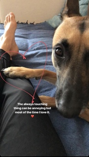 Danica Patrick feet photo thumbnail