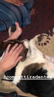 Kéfera Buchmann feet photo thumbnail