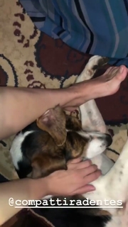 Kéfera Buchmann feet photo thumbnail