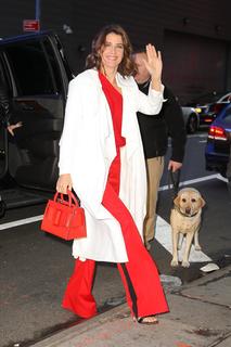 Cobie Smulders feet photo thumbnail