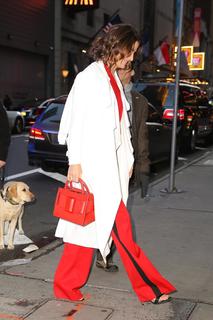 Cobie Smulders feet photo thumbnail