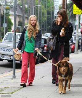 Amanda Seyfried feet photo thumbnail