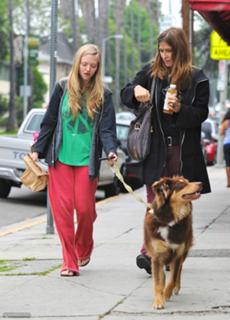 Amanda Seyfried feet photo thumbnail
