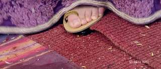 Kajal Aggarwal feet photo thumbnail