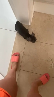 Anitta feet photo thumbnail