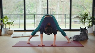 Adriene Mishler feet photo thumbnail