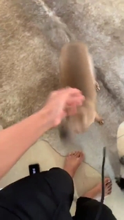 Anitta feet photo thumbnail
