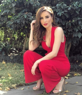 Cynthia Rodríguez feet photo thumbnail