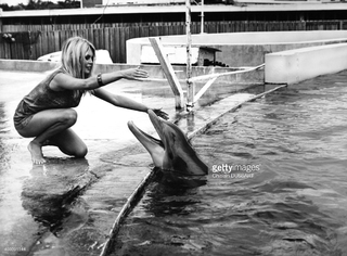 Brigitte Bardot feet photo thumbnail