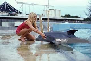 Brigitte Bardot feet photo thumbnail