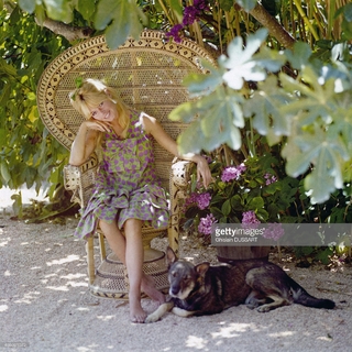 Brigitte Bardot feet photo thumbnail