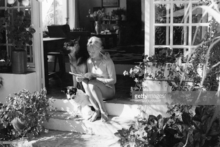 Brigitte Bardot feet photo thumbnail