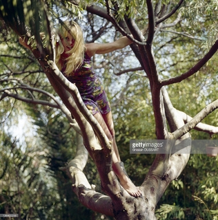 Brigitte Bardot feet photo thumbnail