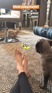 Kaley Cuoco feet photo thumbnail