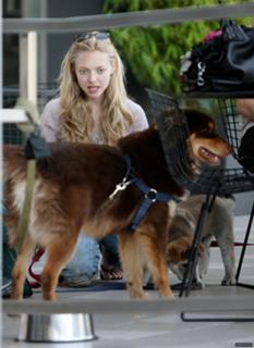 Amanda Seyfried feet photo thumbnail