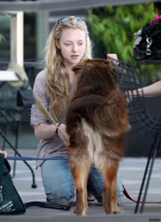 Amanda Seyfried feet photo thumbnail