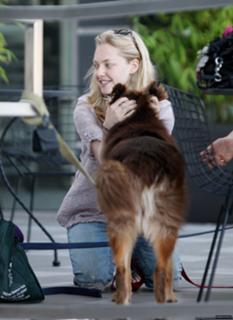 Amanda Seyfried feet photo thumbnail