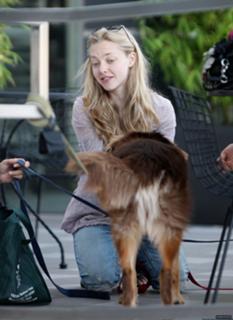 Amanda Seyfried feet photo thumbnail