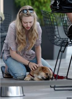 Amanda Seyfried feet photo thumbnail