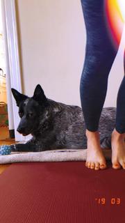 Adriene Mishler feet photo thumbnail