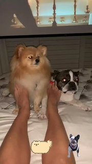 Flávia Alessandra feet photo thumbnail