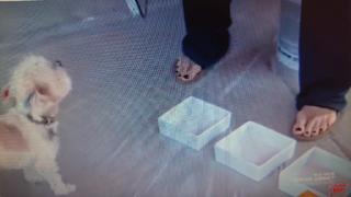 Jennie Garth feet photo thumbnail