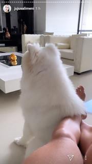 Juliana Salimeni feet photo thumbnail