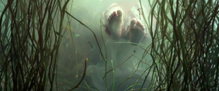 Angelababy feet photo thumbnail