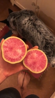 Adriene Mishler feet photo thumbnail