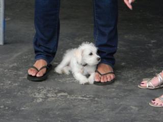 Jordin Sparks feet photo thumbnail