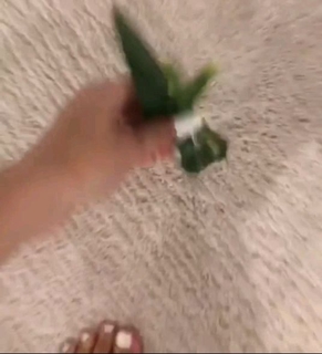 Alia Shelesh feet photo 2