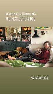 Hilary Swank feet photo thumbnail