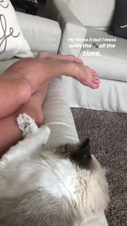Holly Holm feet photo thumbnail