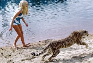 Brigitte Bardot feet photo thumbnail