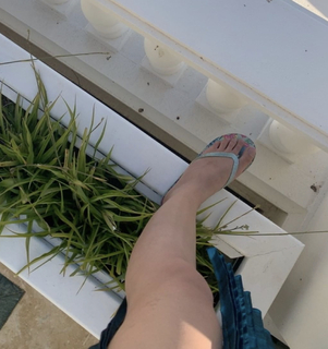 Kriti Sanon feet photo thumbnail