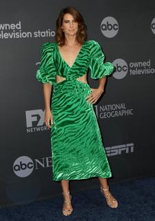 Cobie Smulders feet photo thumbnail
