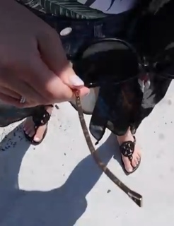 Brittney Smith feet photo thumbnail