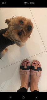 Franciely Freduzeski feet photo thumbnail