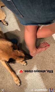 Danica Patrick feet photo thumbnail